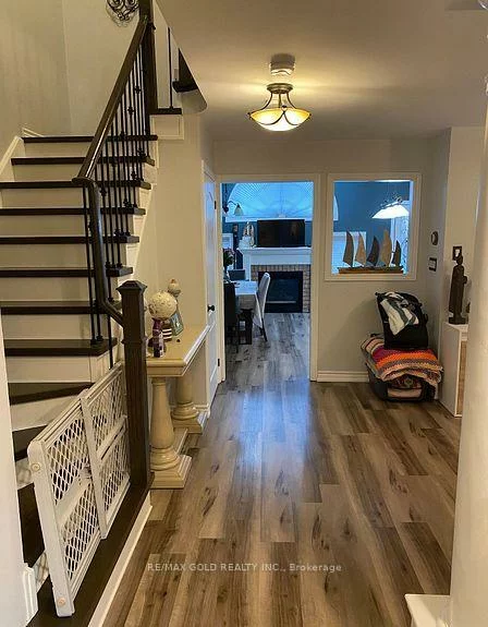 39, Fiddleneck, Sandringham-Wellington, Brampton