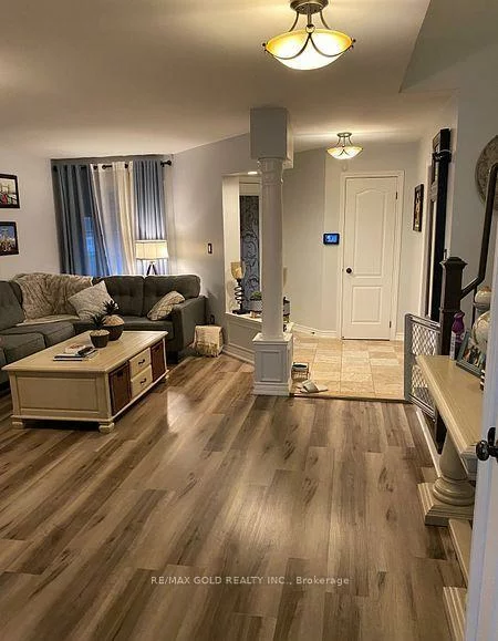 39, Fiddleneck, Sandringham-Wellington, Brampton