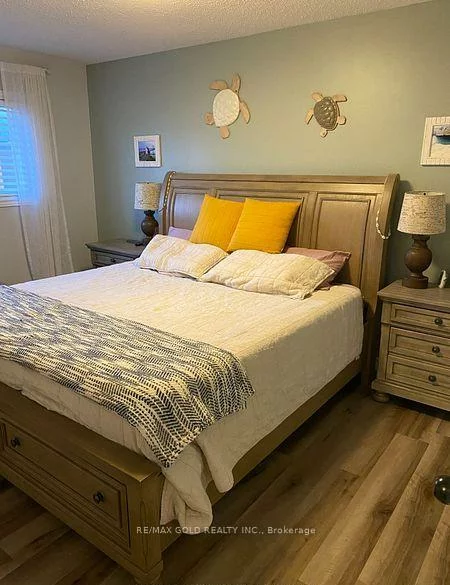 39, Fiddleneck, Sandringham-Wellington, Brampton