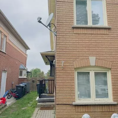 126, Rainforest, Sandringham-Wellington, Brampton