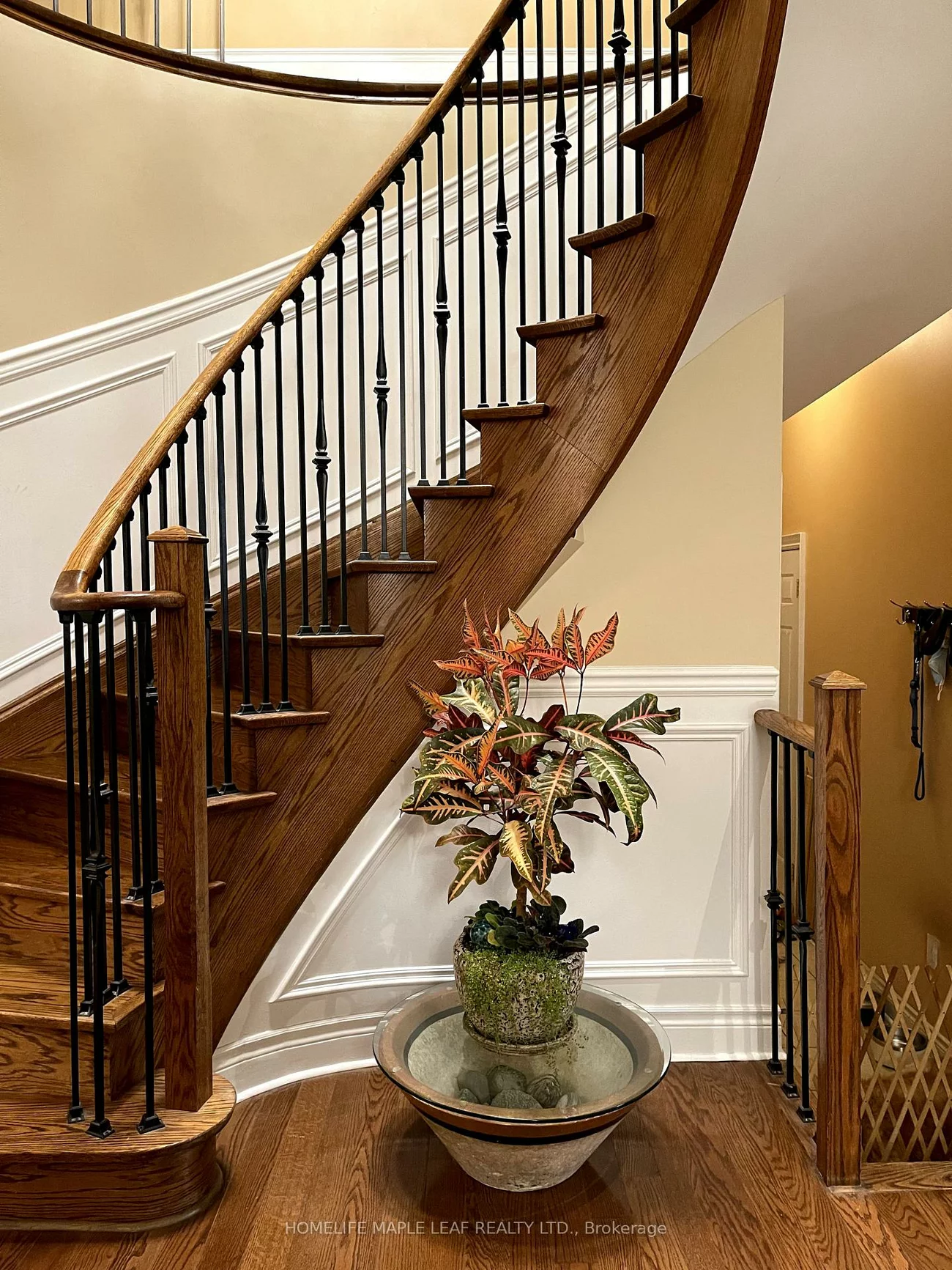 29, Jacksonville, Vales of Castlemore, Brampton