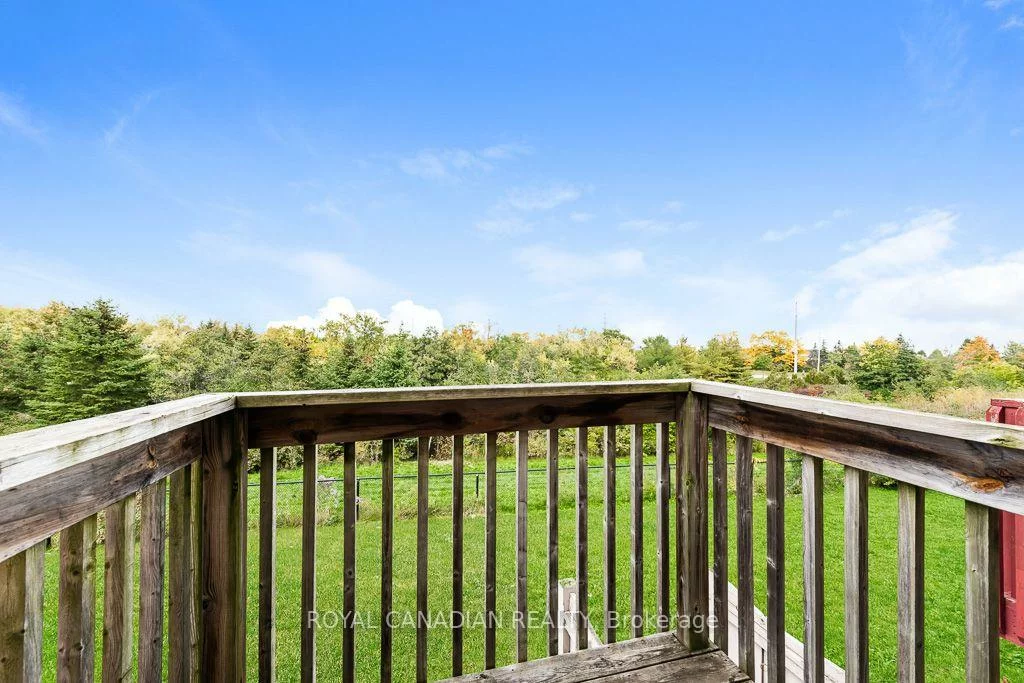 22, Bay Breeze, Sandringham-Wellington, Brampton