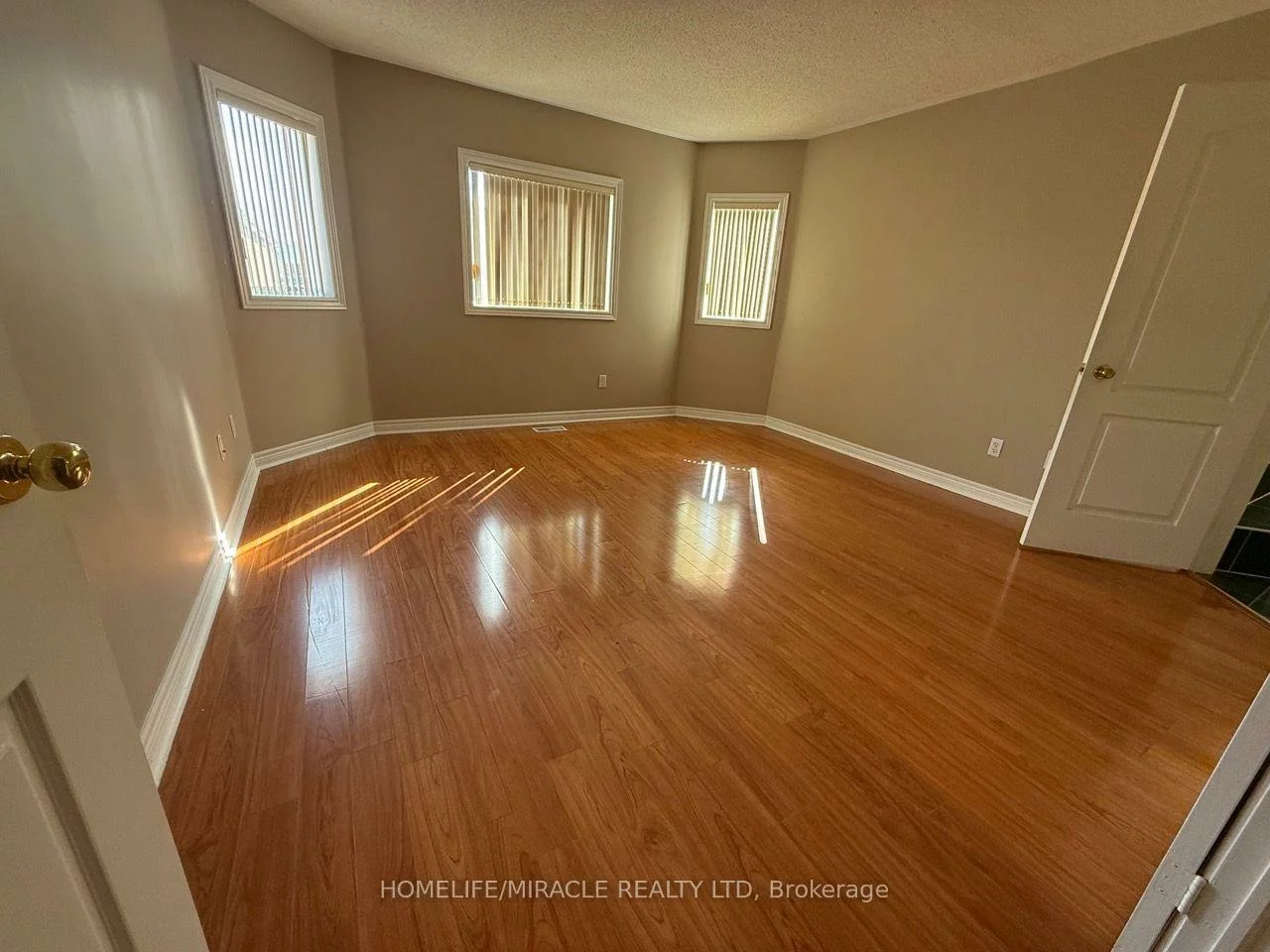 76, Jack Rabbit, Sandringham-Wellington, Brampton
