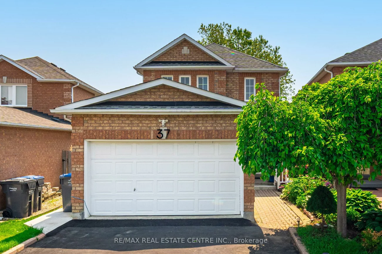 37, Zachary, Snelgrove, Brampton