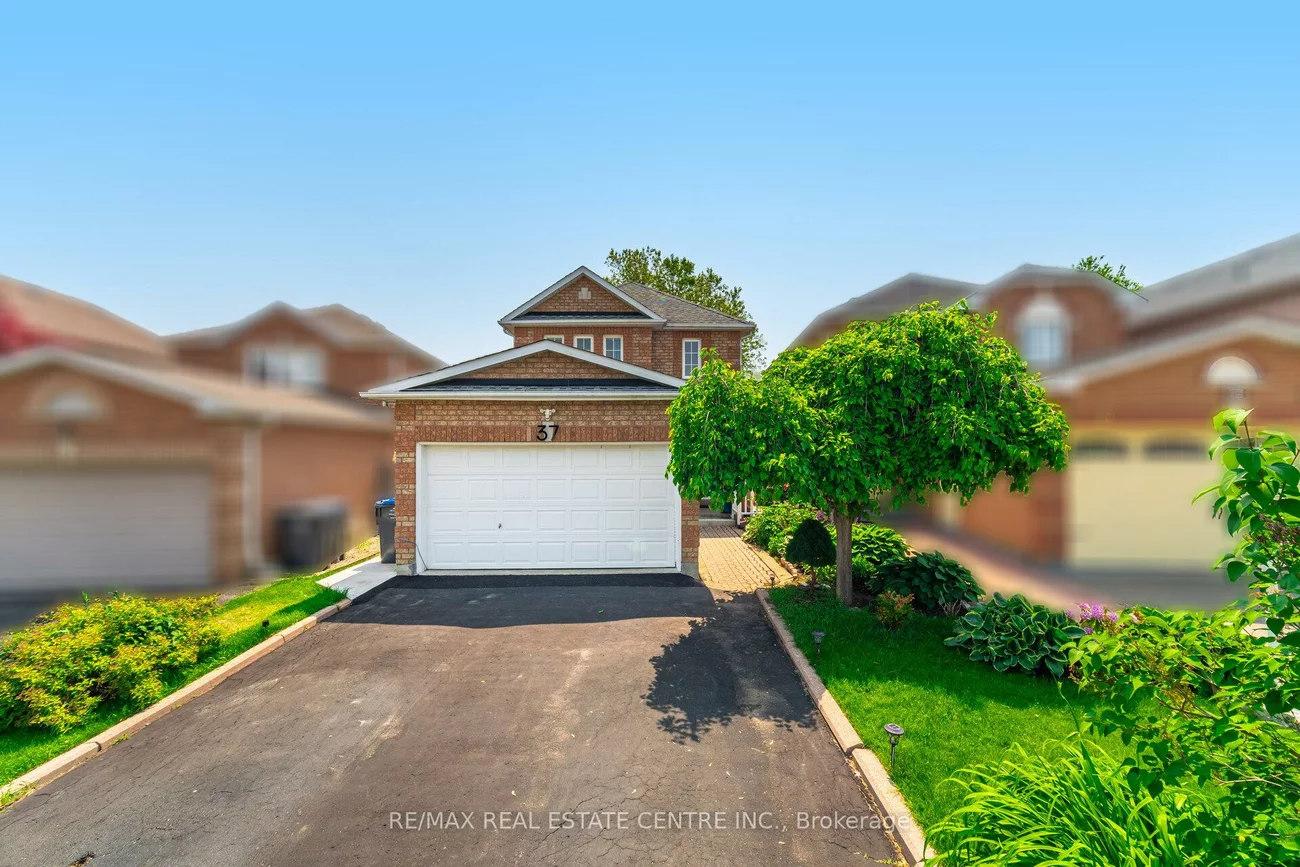 37, Zachary, Snelgrove, Brampton