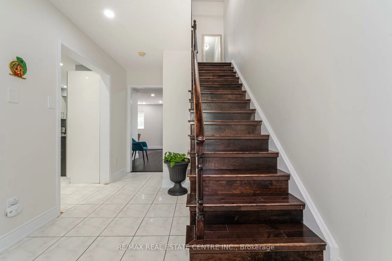 37, Zachary, Snelgrove, Brampton