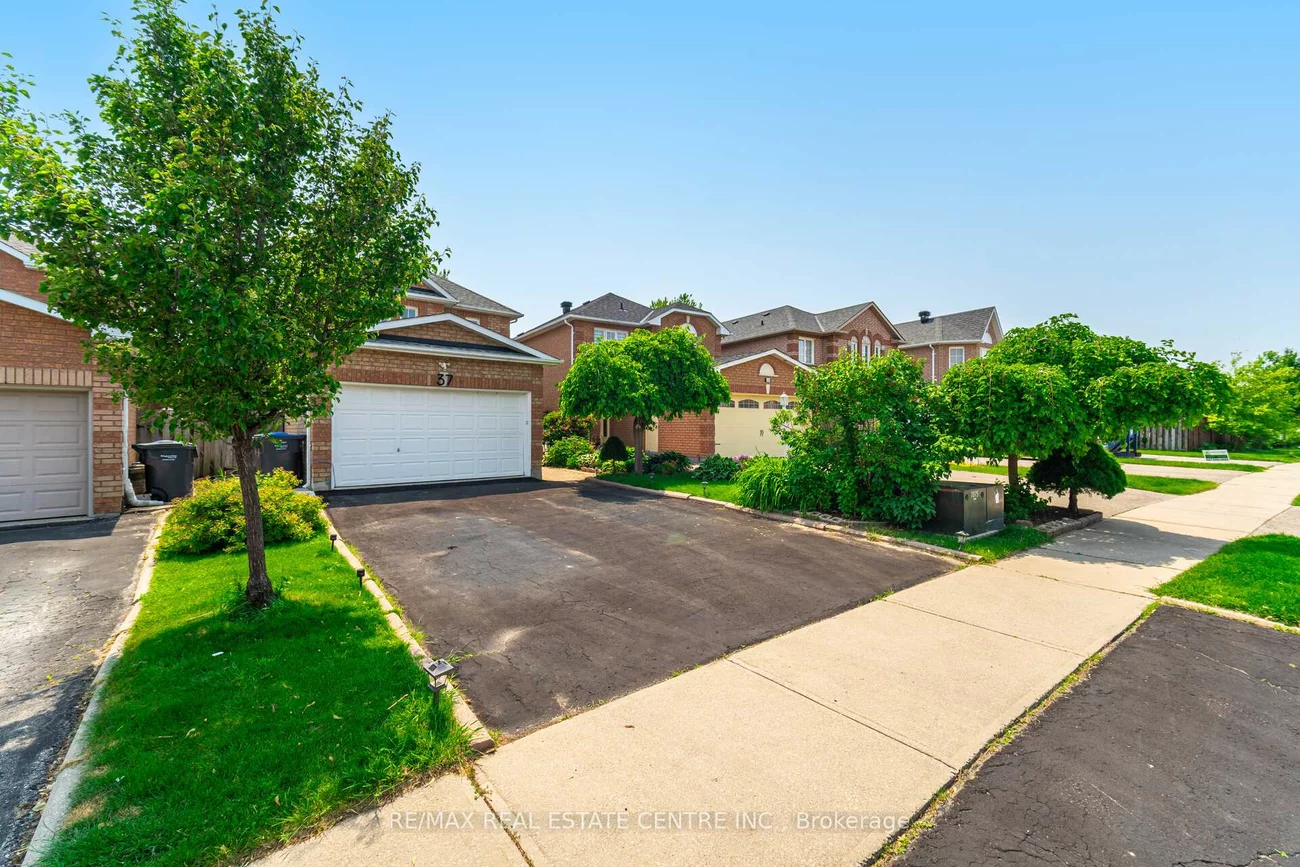 37, Zachary, Snelgrove, Brampton