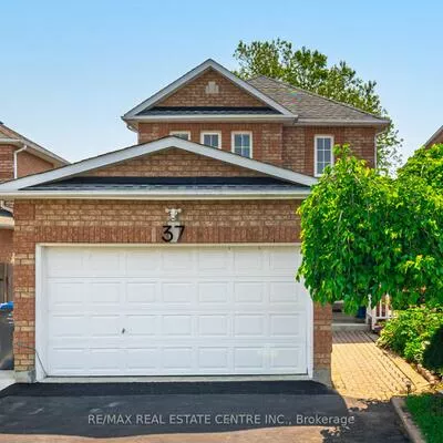 37, Zachary, Snelgrove, Brampton