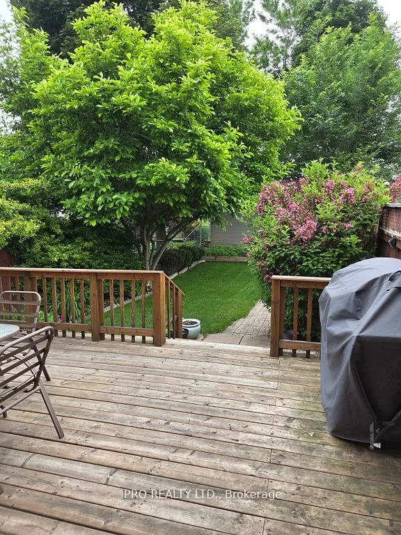 238, Royal Salisbury, Madoc, Brampton