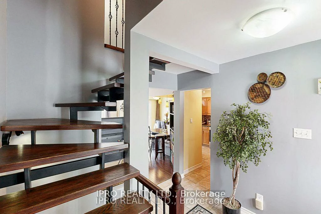 238, Royal Salisbury, Madoc, Brampton