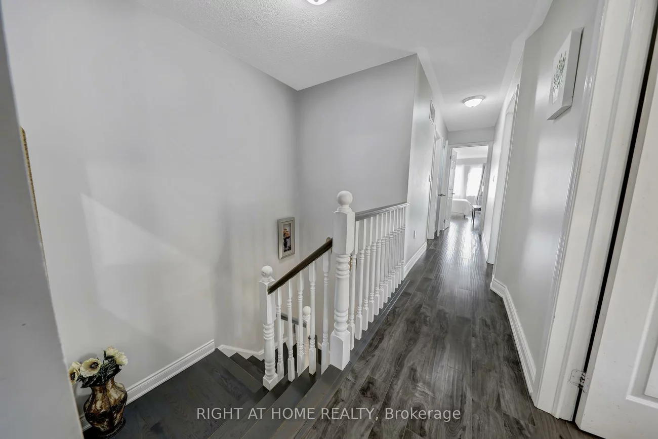 17, Dusty Star, Sandringham-Wellington, Brampton
