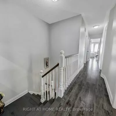 17, Dusty Star, Sandringham-Wellington, Brampton