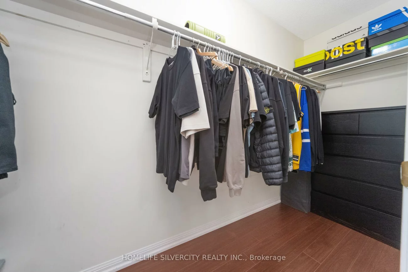 85, Dandelion, Sandringham-Wellington, Brampton