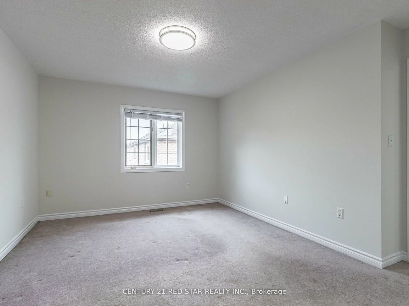 95, Yellow Brick, Brampton North, Brampton