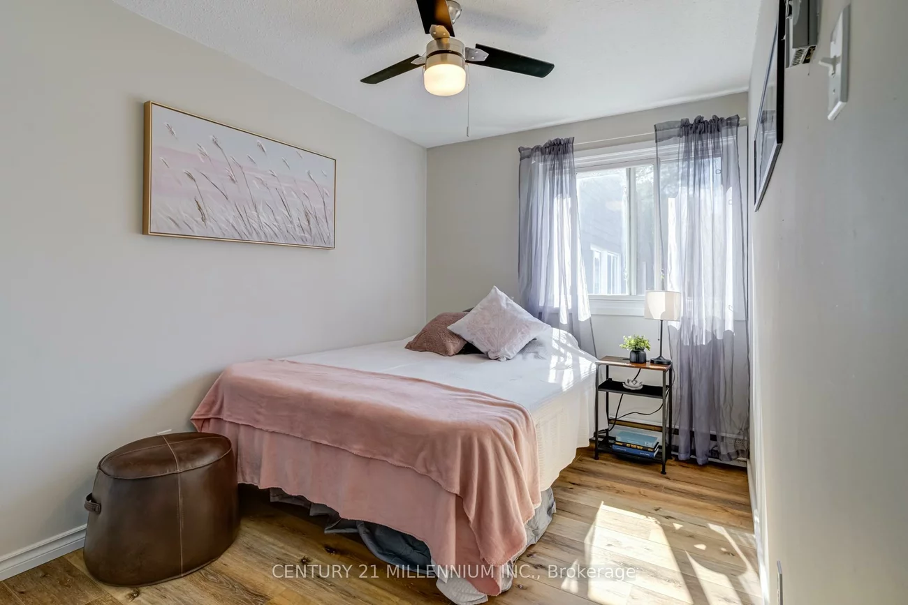 15, Hasting, Central Park, Brampton