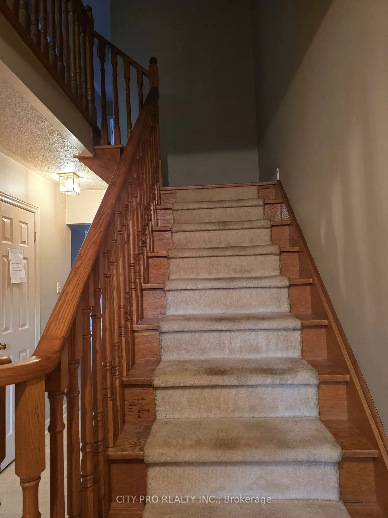 55, Rain Lily, Sandringham-Wellington, Brampton