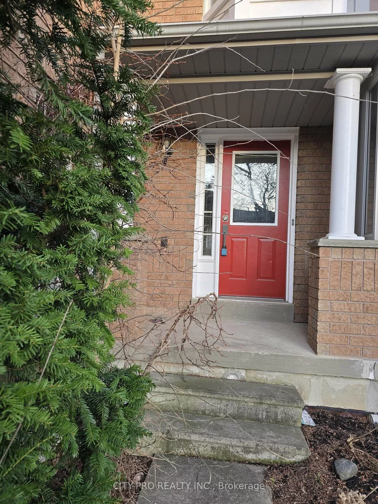 55, Rain Lily, Sandringham-Wellington, Brampton