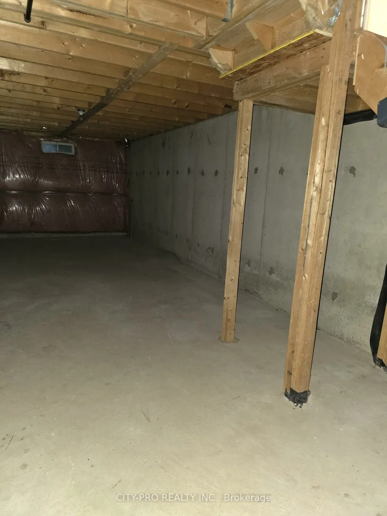 55, Rain Lily, Sandringham-Wellington, Brampton