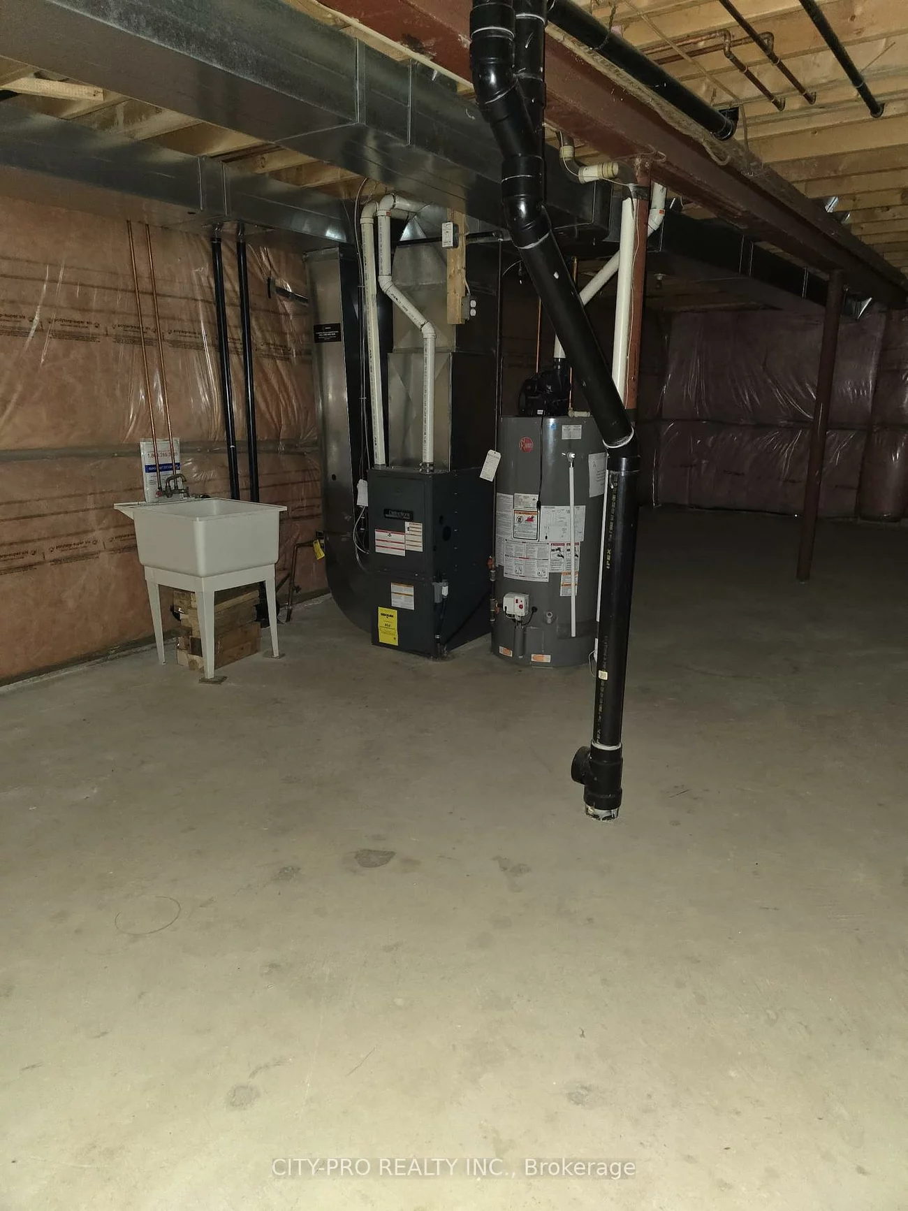 55, Rain Lily, Sandringham-Wellington, Brampton