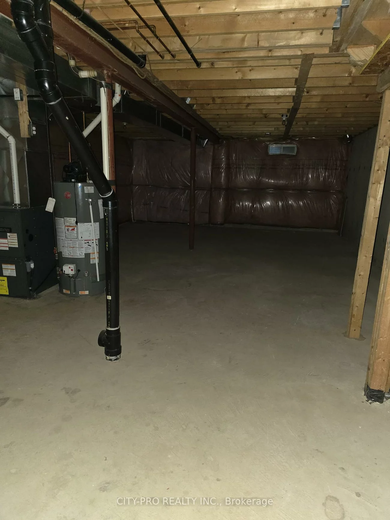 55, Rain Lily, Sandringham-Wellington, Brampton