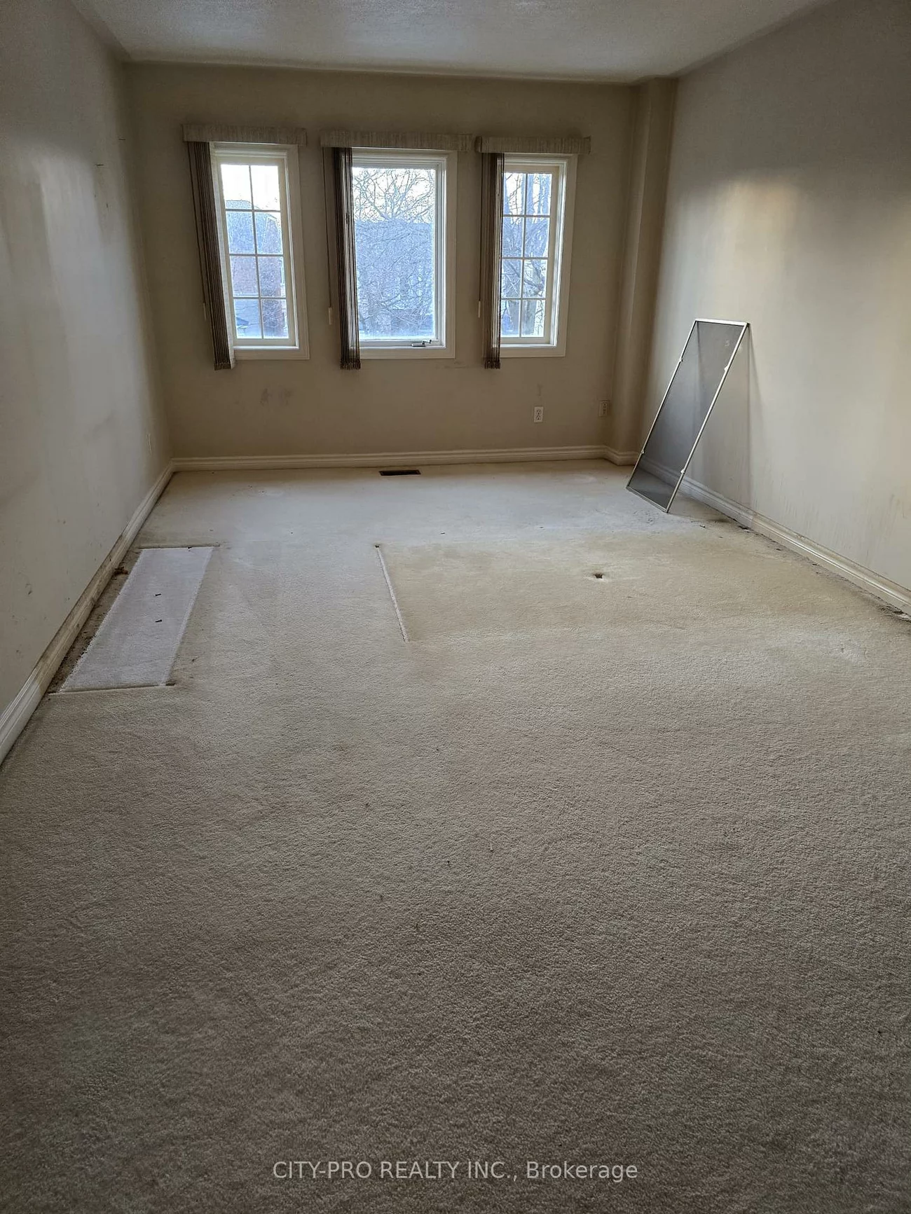 55, Rain Lily, Sandringham-Wellington, Brampton