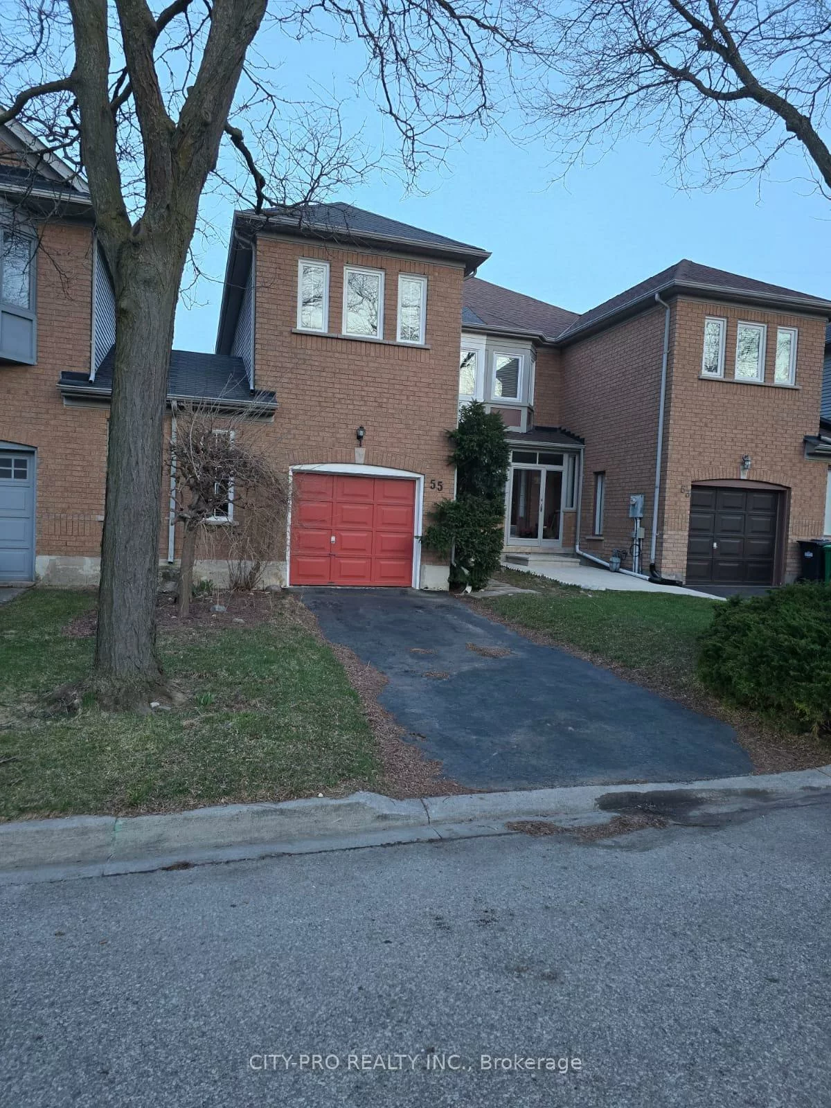 55, Rain Lily, Sandringham-Wellington, Brampton