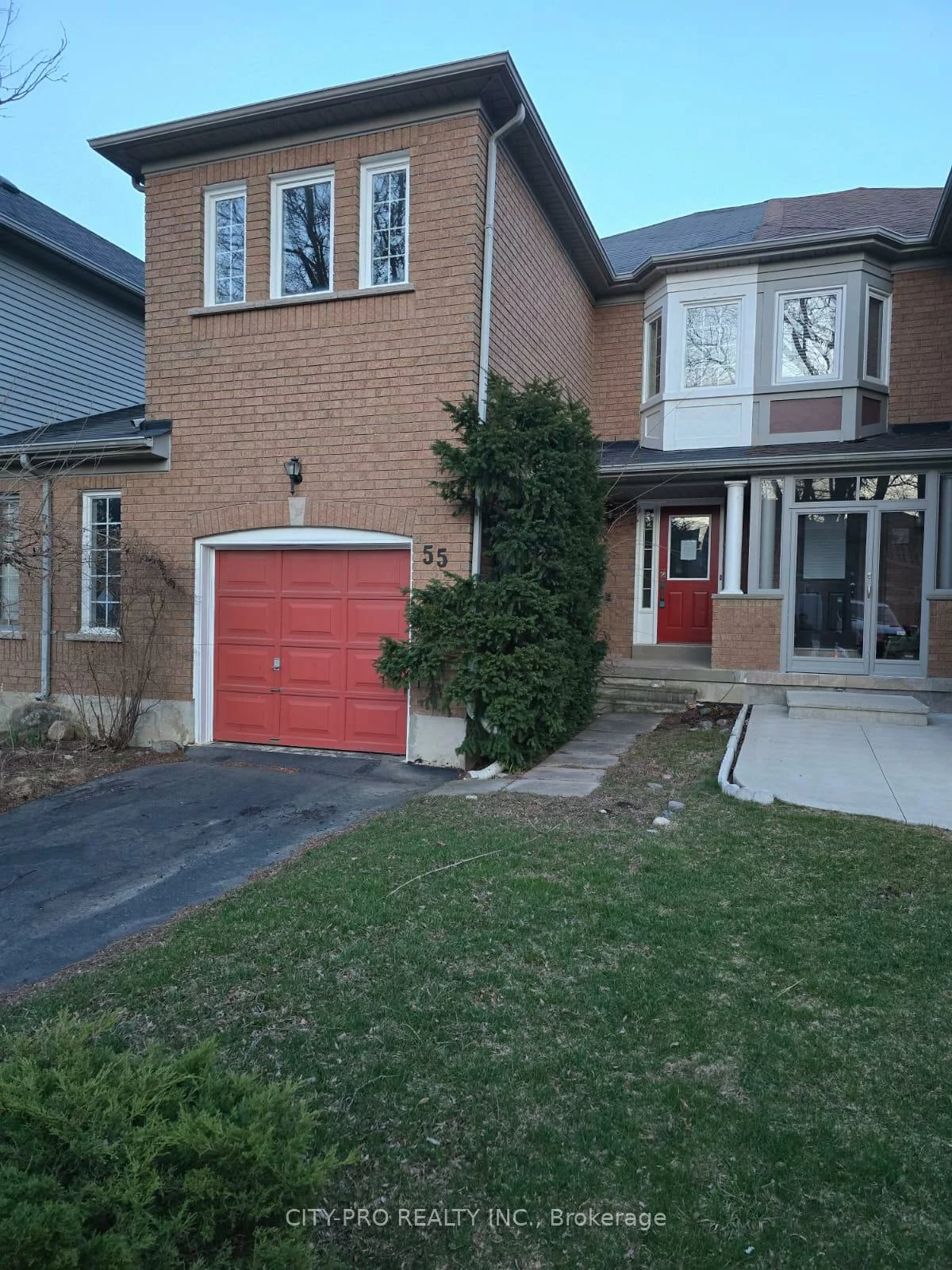 55, Rain Lily, Sandringham-Wellington, Brampton