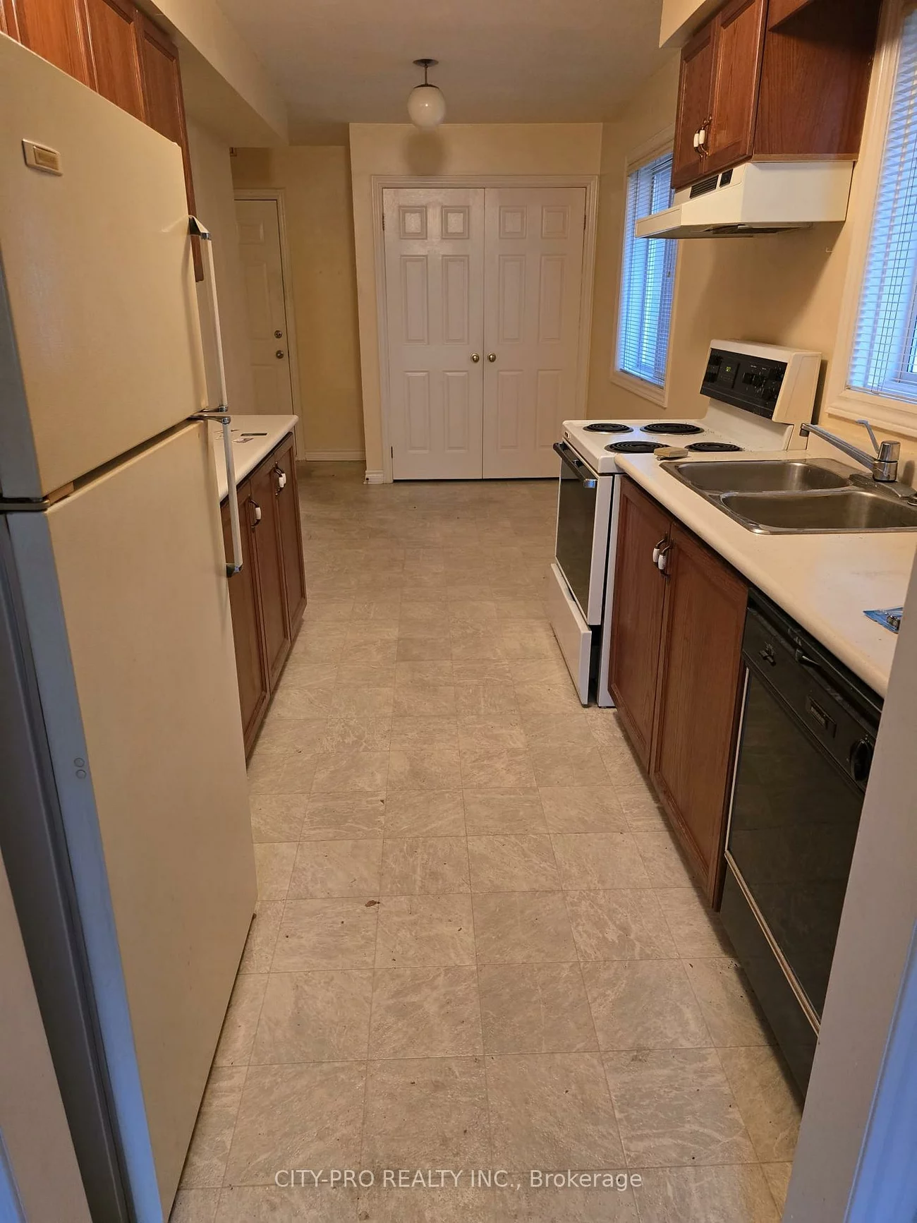 55, Rain Lily, Sandringham-Wellington, Brampton