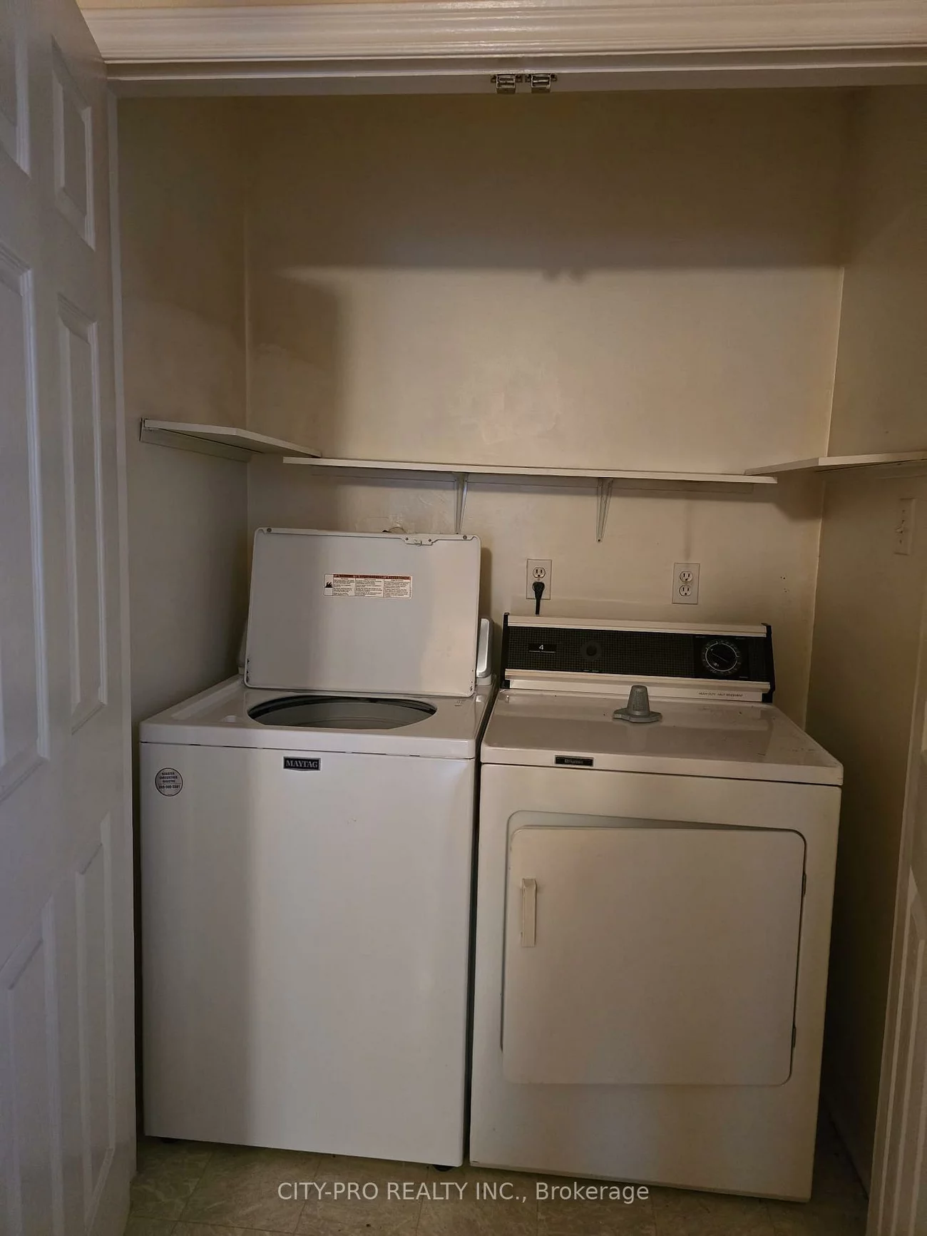 55, Rain Lily, Sandringham-Wellington, Brampton