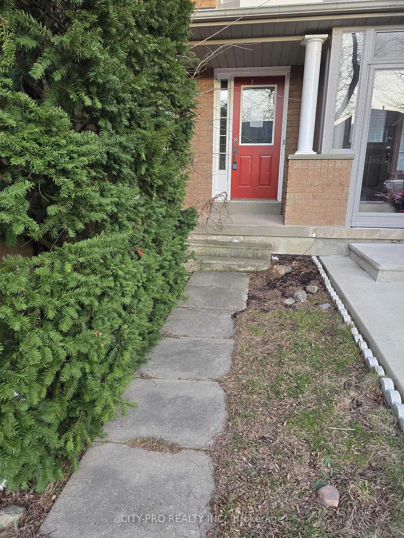 55, Rain Lily, Sandringham-Wellington, Brampton