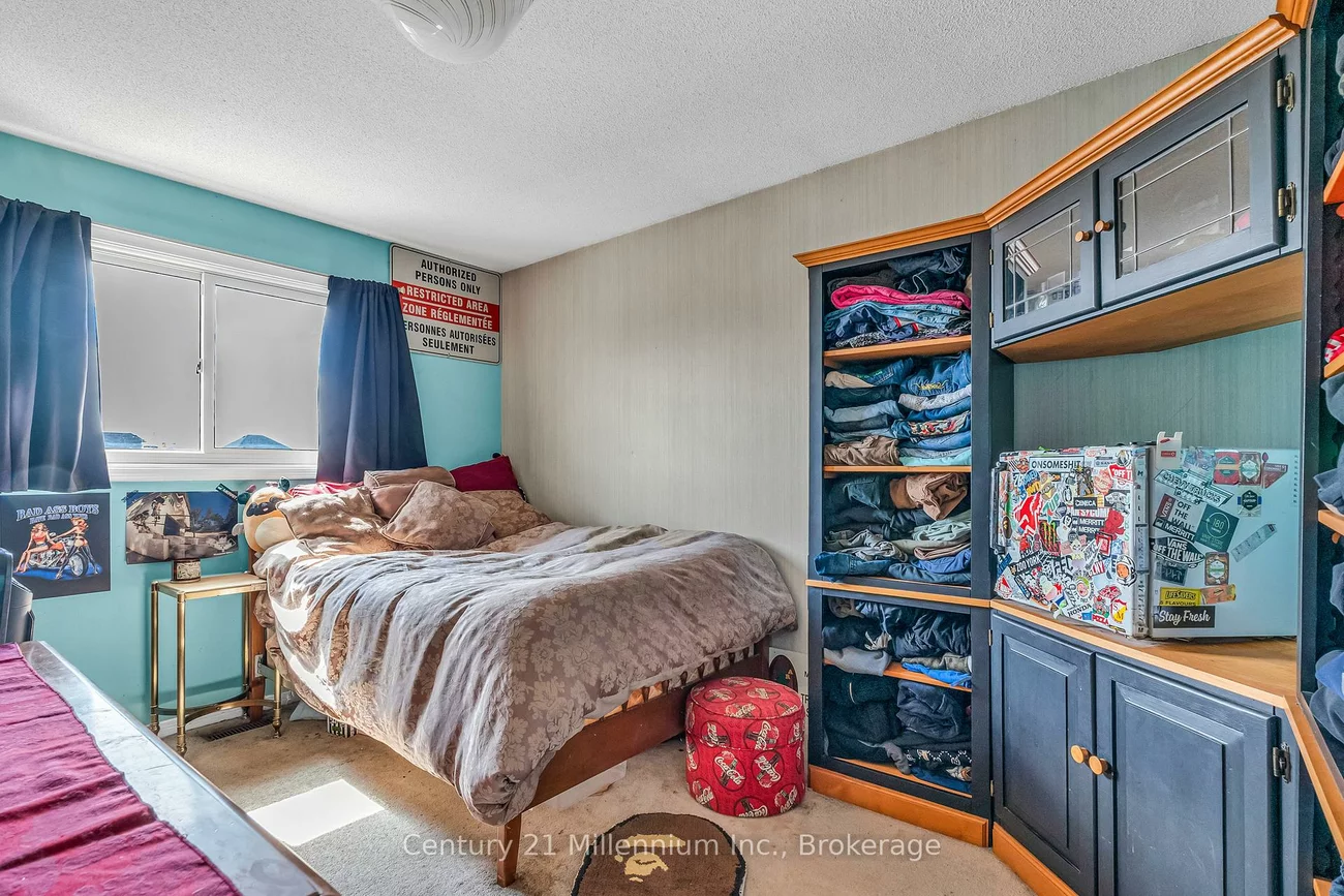82, Candy, Northwood Park, Brampton