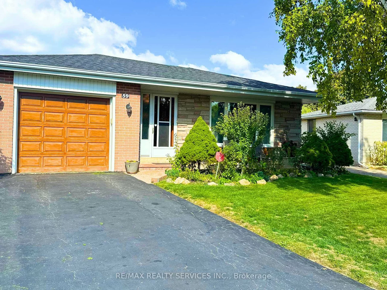 59, Belmont, Avondale, Brampton