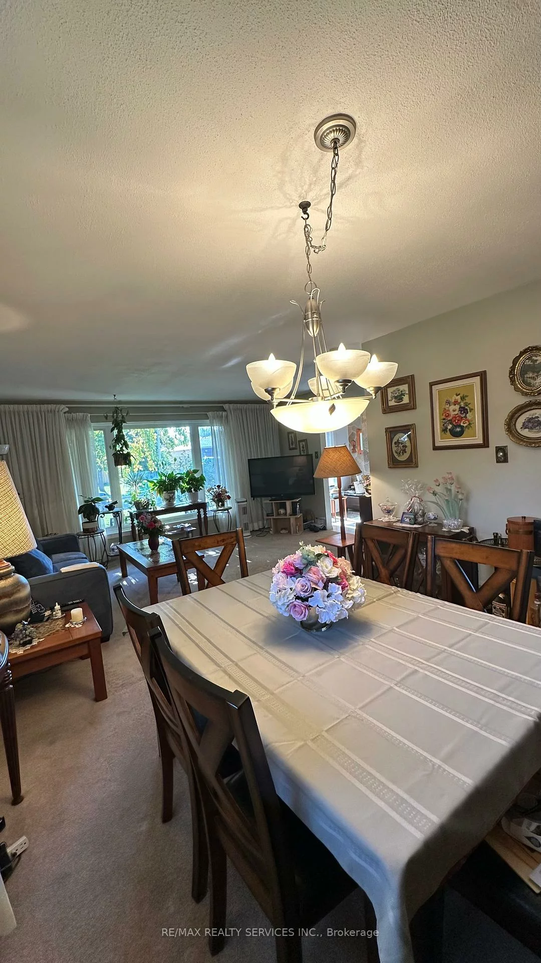59, Belmont, Avondale, Brampton