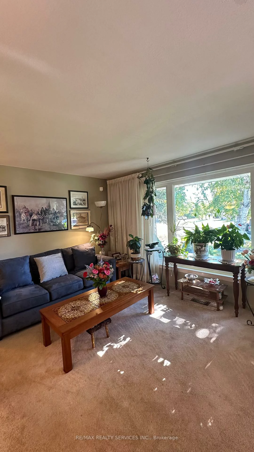 59, Belmont, Avondale, Brampton