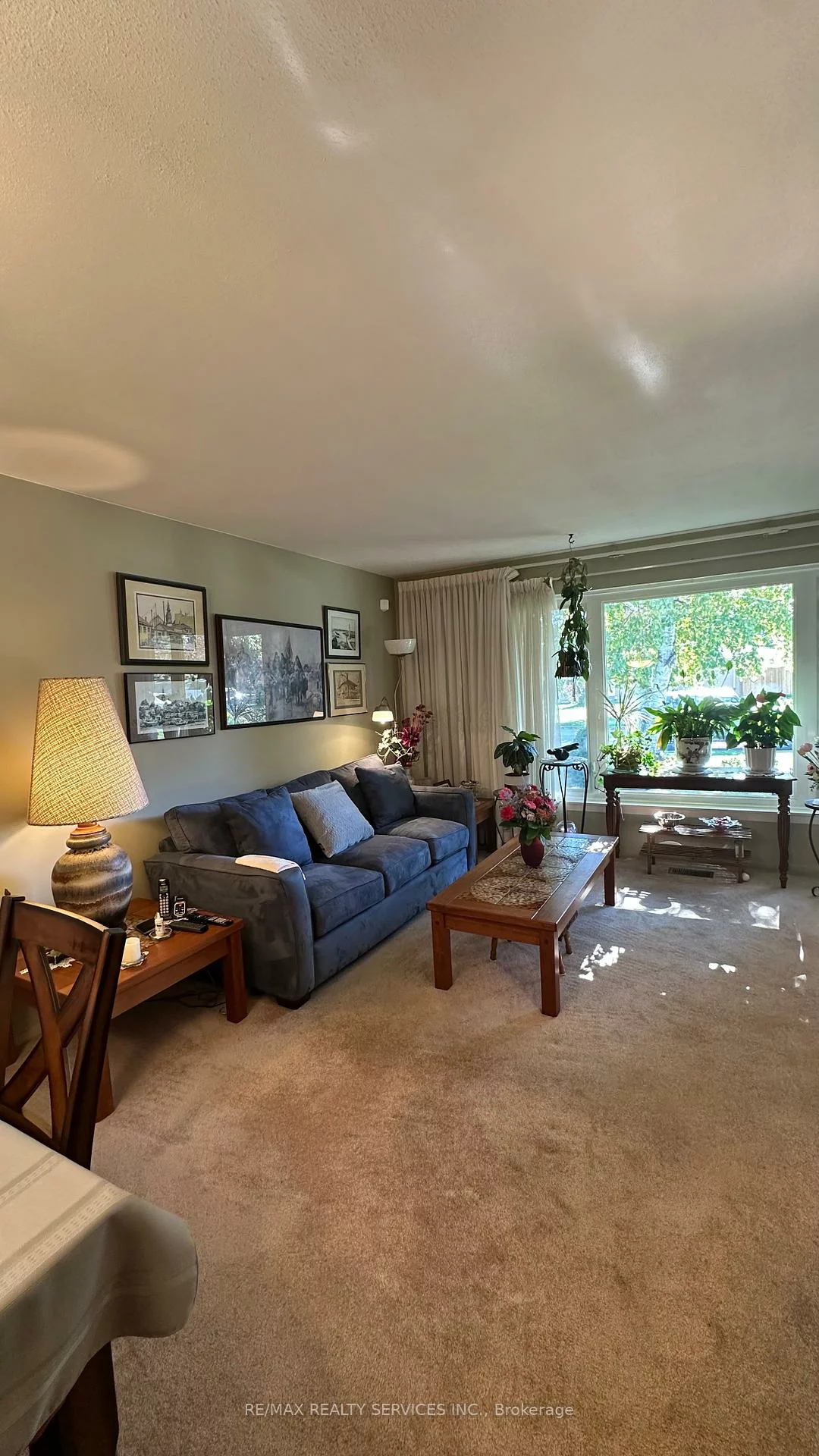 59, Belmont, Avondale, Brampton