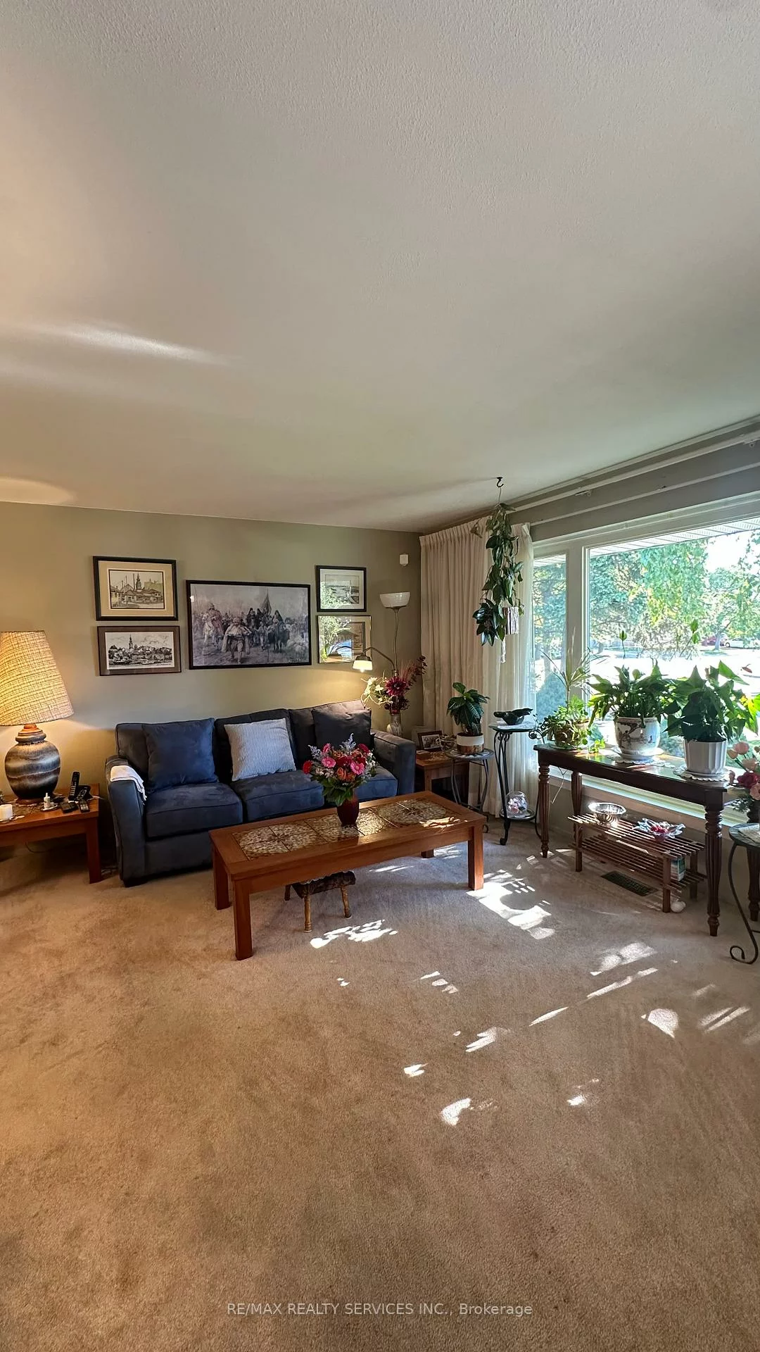59, Belmont, Avondale, Brampton