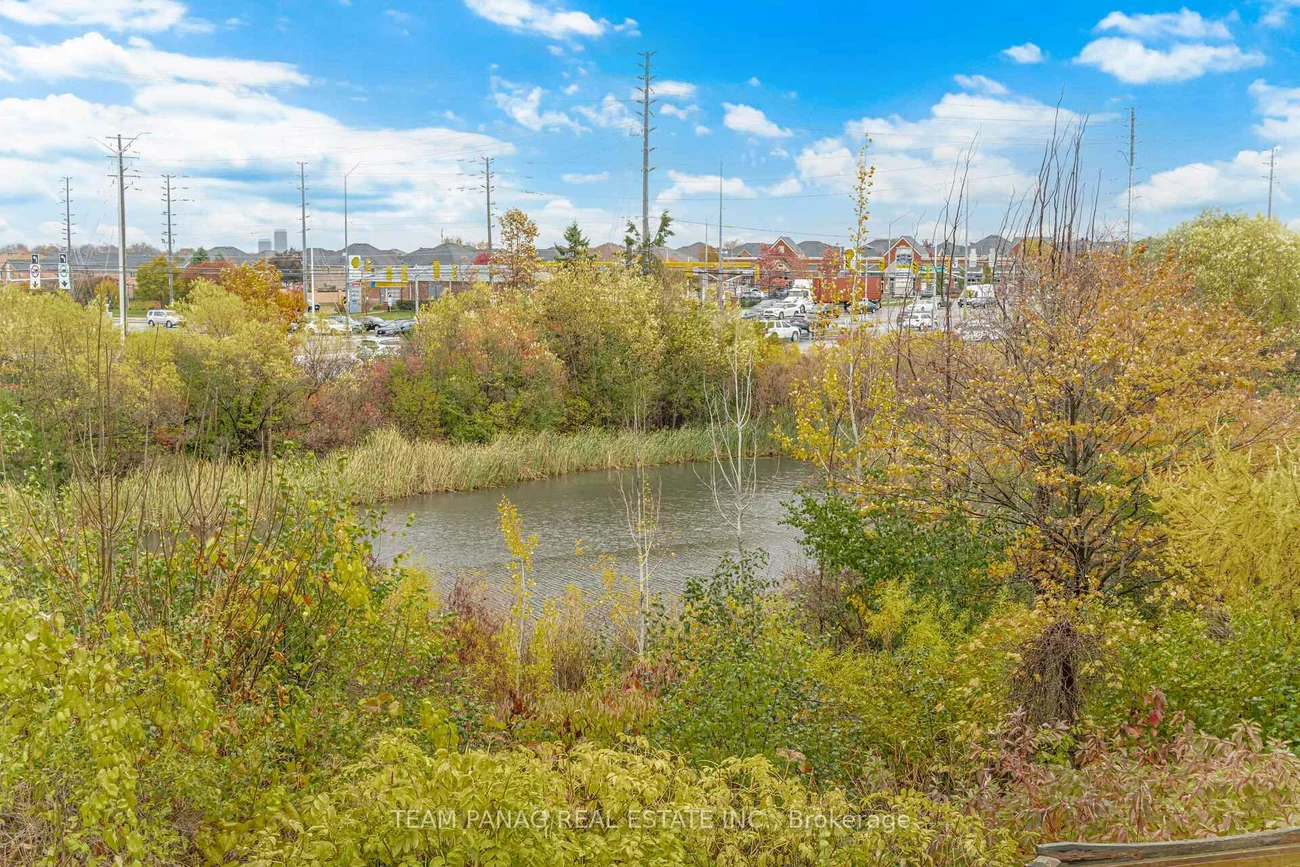 19, Mount Fuji, Sandringham-Wellington, Brampton