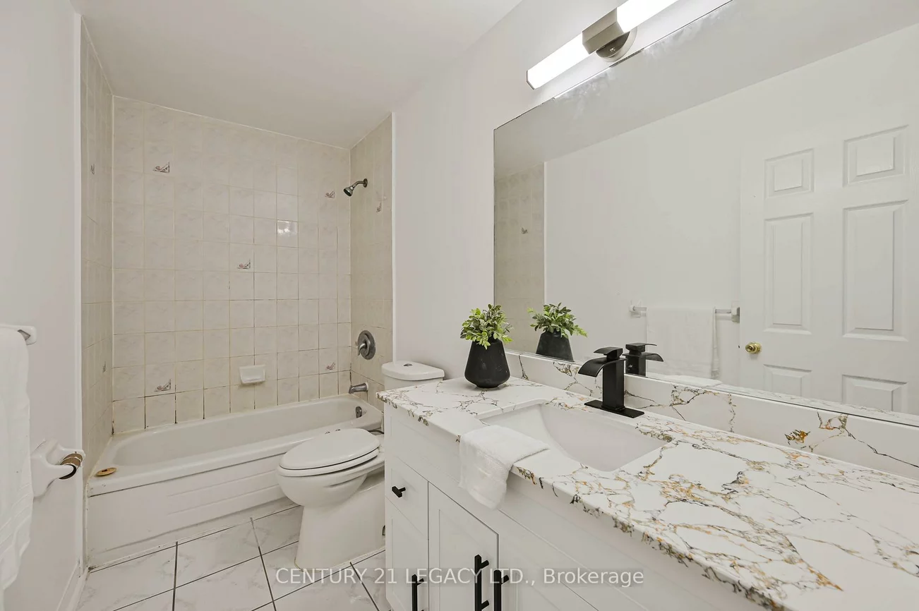 15, Dusty Star, Sandringham-Wellington, Brampton