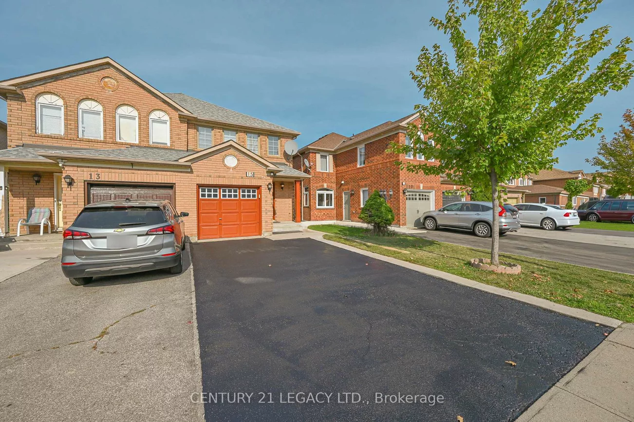 15, Dusty Star, Sandringham-Wellington, Brampton