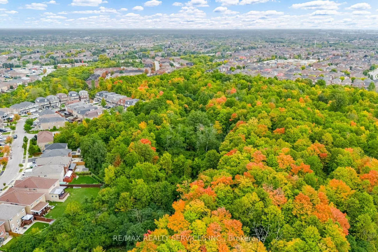 38, Foxsparrow, Sandringham-Wellington North, Brampton