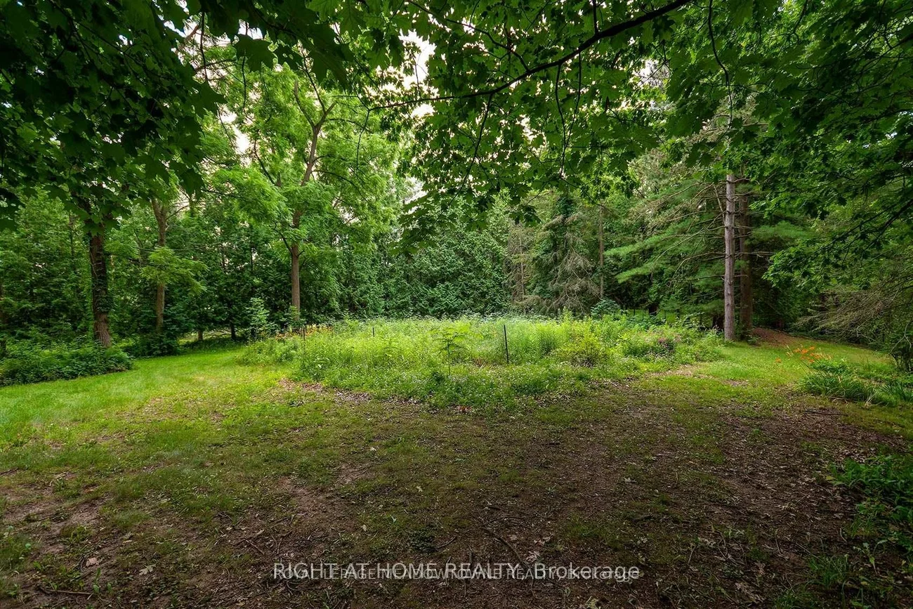 8774, Creditview, Credit Valley, Brampton