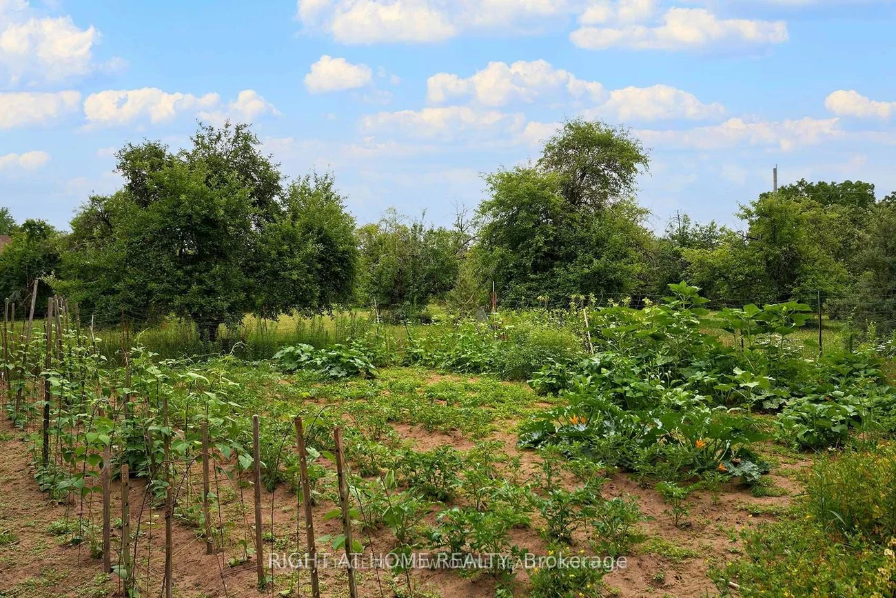 8774, Creditview, Credit Valley, Brampton