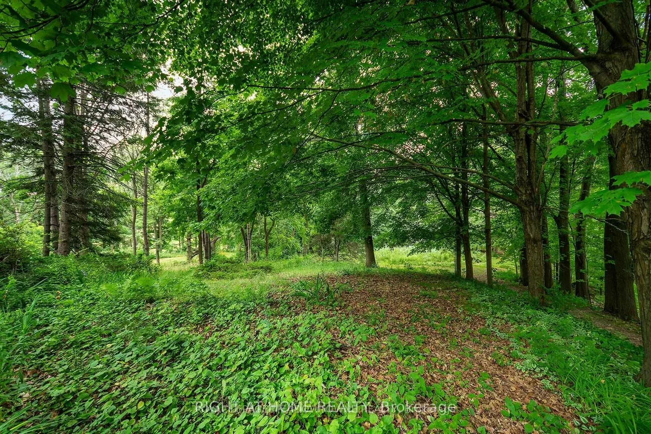 8774, Creditview, Credit Valley, Brampton