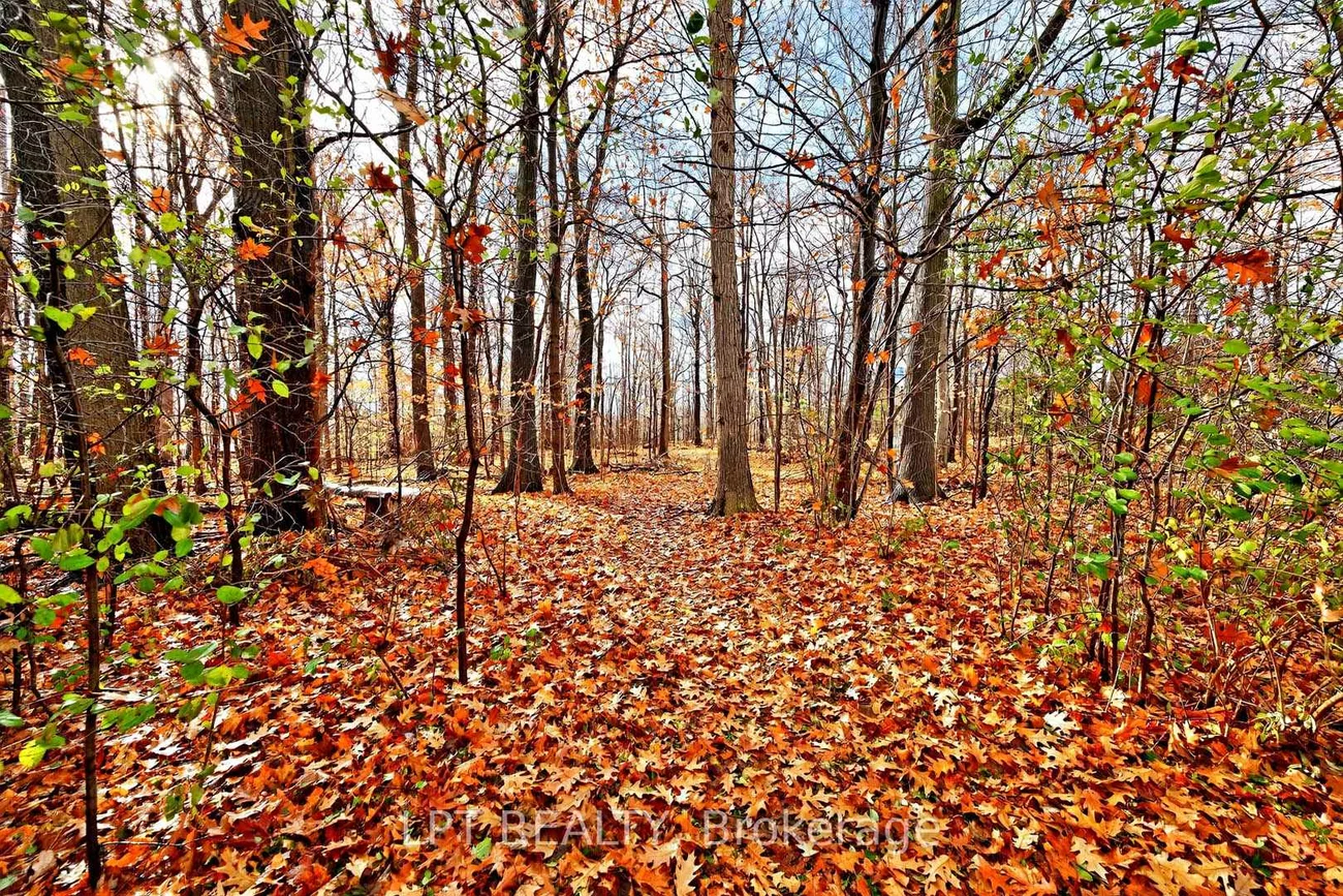 20, Burnley, Heart Lake West, Brampton