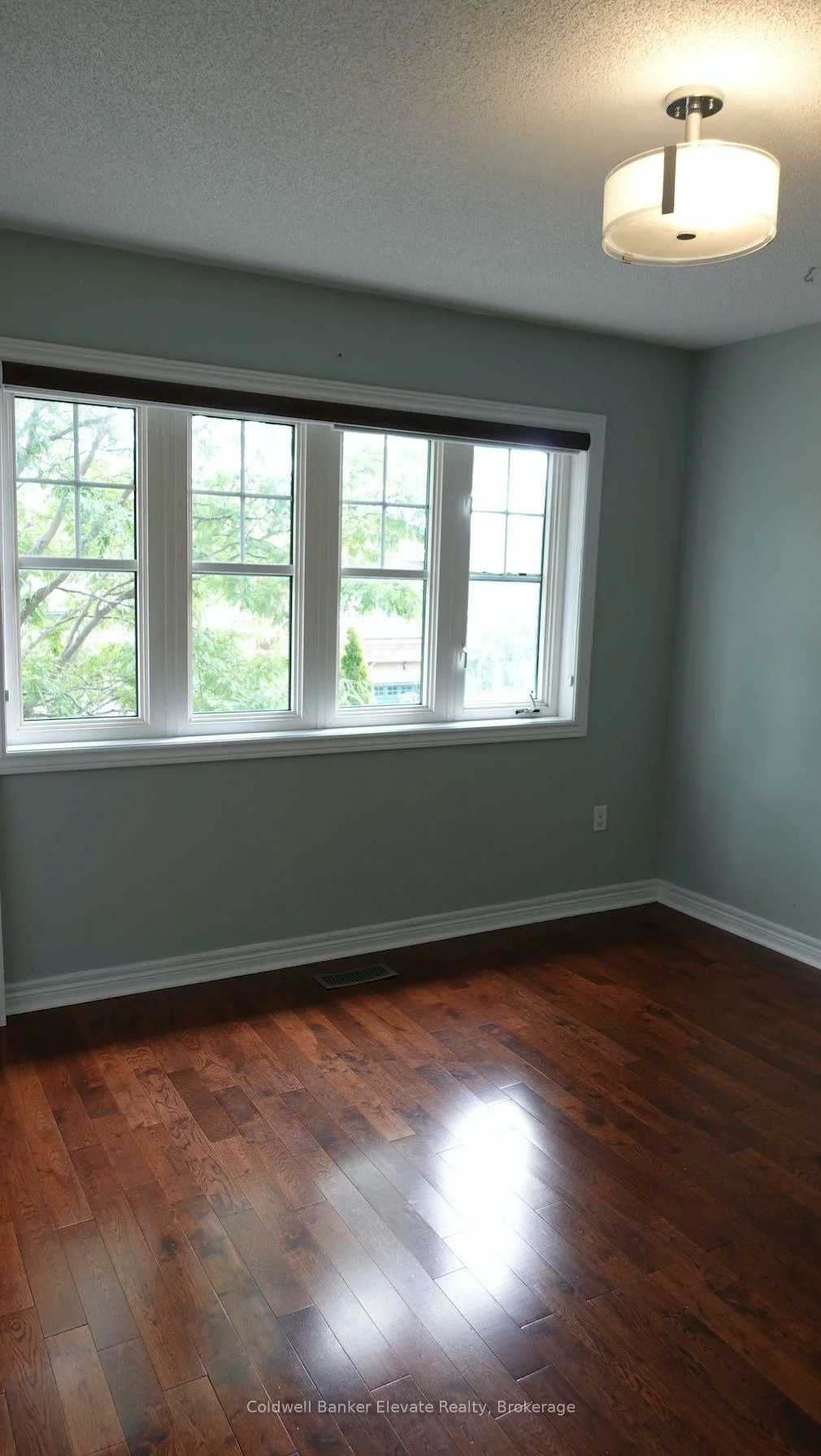 20, Goldnugget, Bram West, Brampton