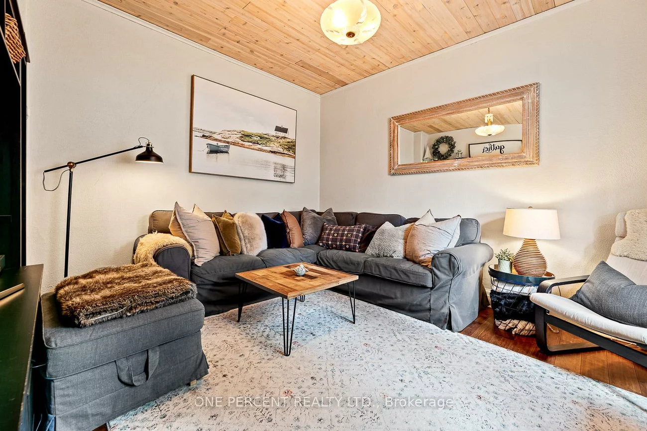 3, Bird, Downtown Brampton, Brampton