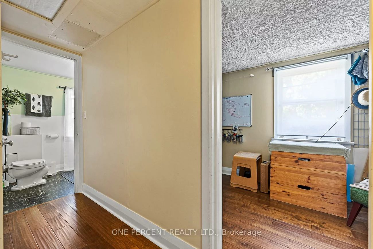 3, Bird, Downtown Brampton, Brampton