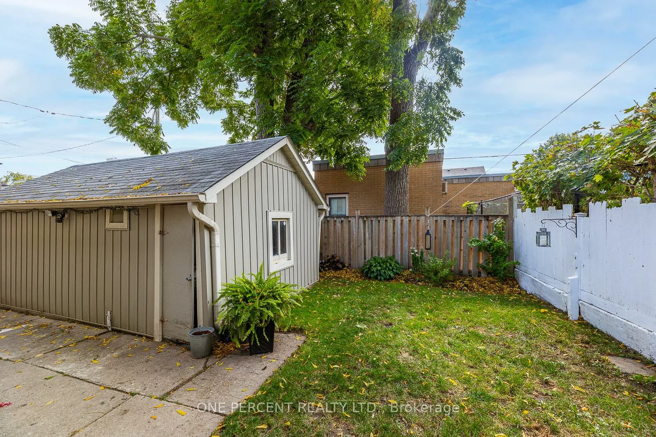 3, Bird, Downtown Brampton, Brampton