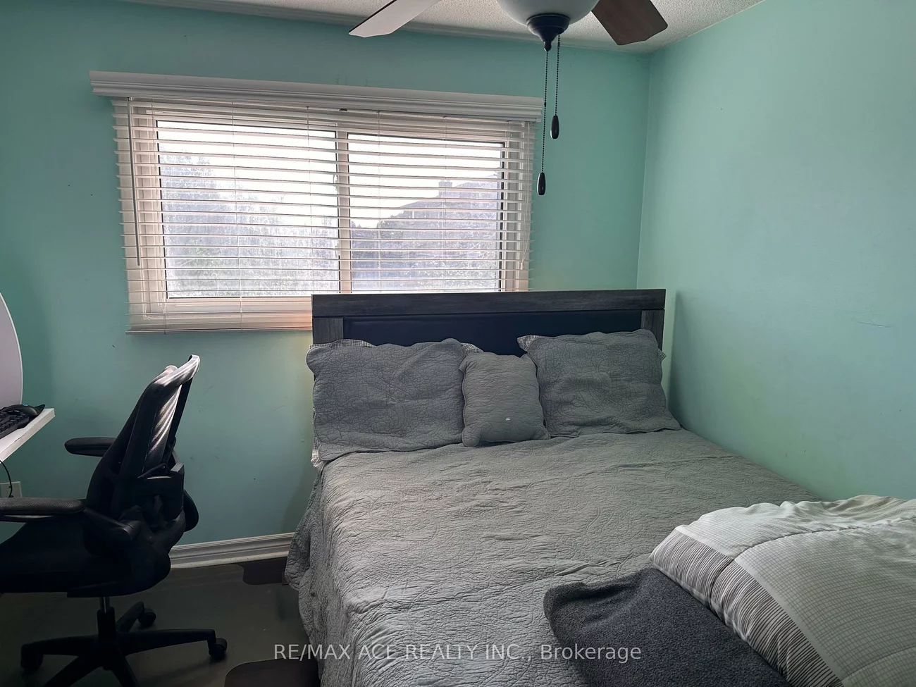 247, Royal Salisbury, Madoc, Brampton