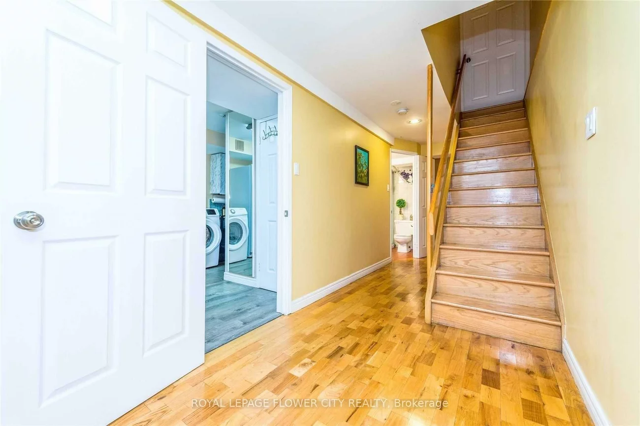 136, Chipmunk, Sandringham-Wellington, Brampton